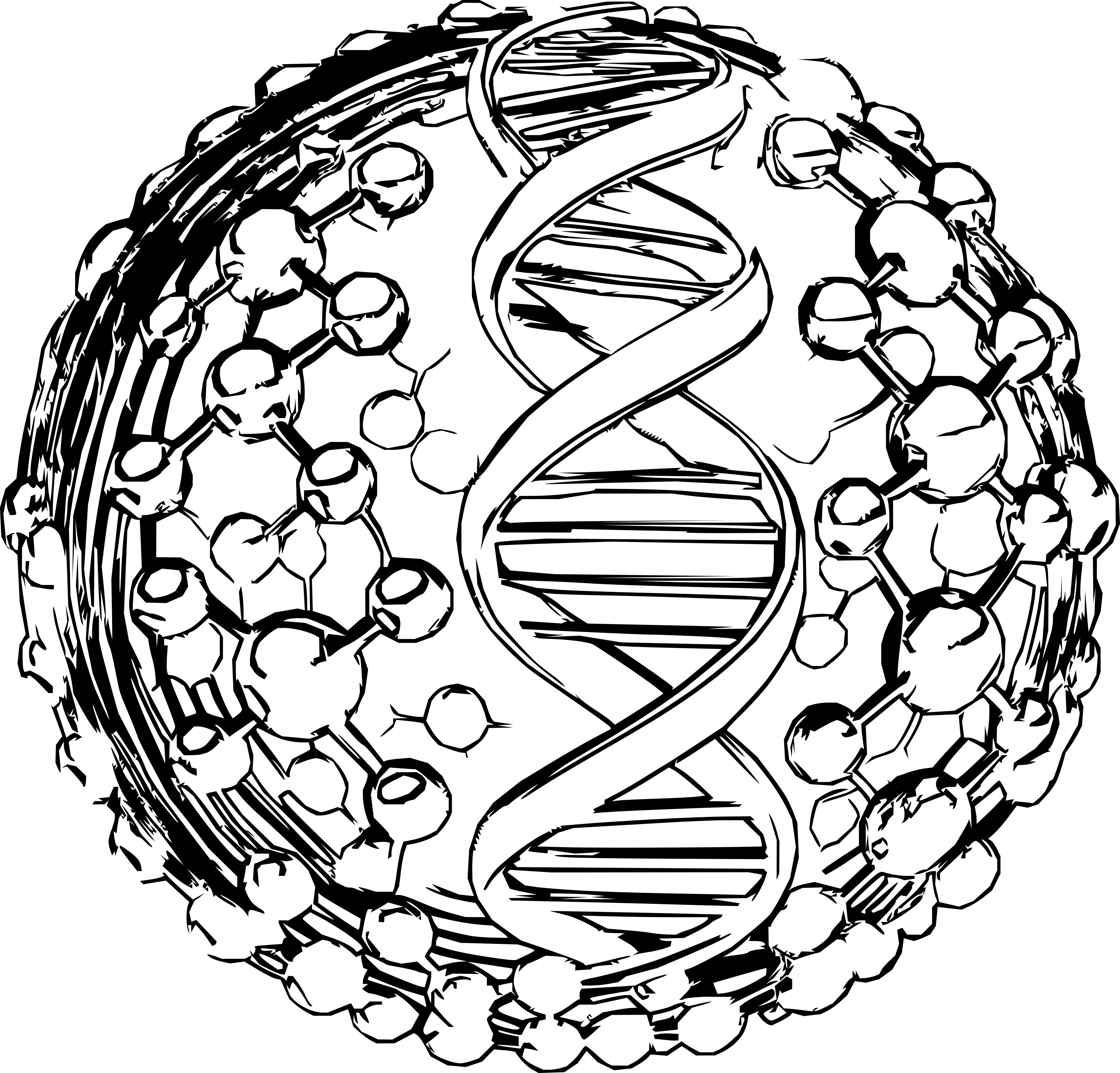 Peptide Sphere